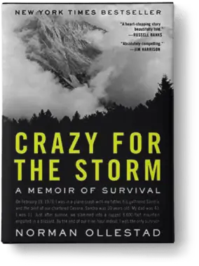 Crazy_For_The_Storm_Image